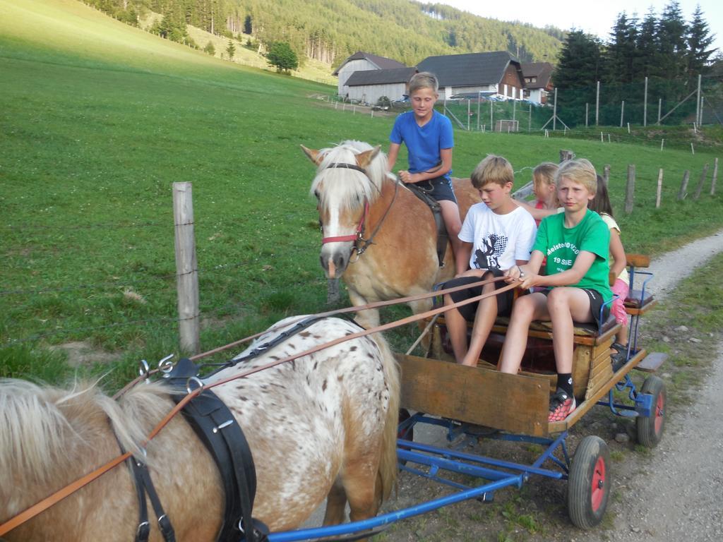 Hansalagut Mauterndorf  Zewnętrze zdjęcie