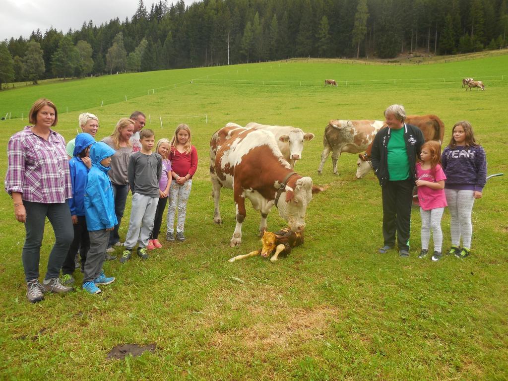 Hansalagut Mauterndorf  Zewnętrze zdjęcie